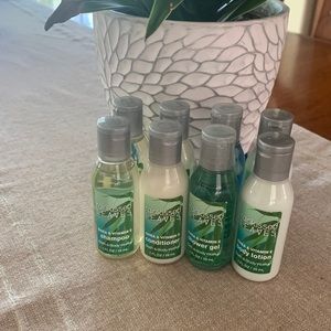 New Bath & Body Rainkissed Leaves Lot of 8 Shampoo Conditioner Lotion 1 oz each